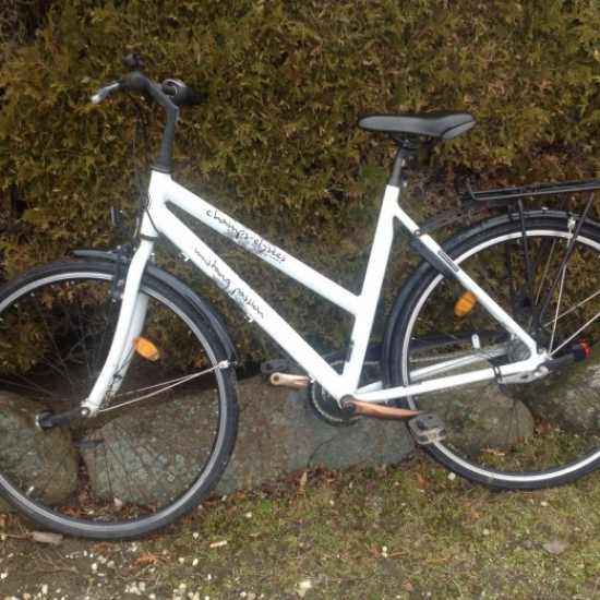Mustang passion / Champs Elys&eacute;e